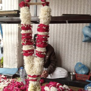 Imperial Red Rose Petal & White Chrysanthemum Block-Tiered Haar