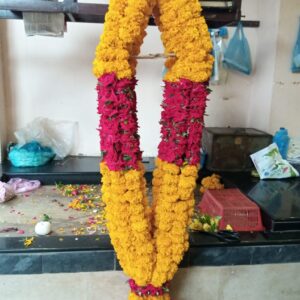 Imperial Marigold & Rose "Zaffron" Handcrafted Block-Tiered Haar