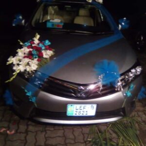 Fresh Red and White Floral Star with Blue Tulle Car Decor