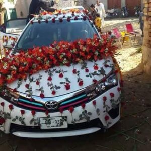 Fresh Red and Pink Rose Double-Thick "V" Garland Car Decor