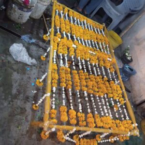 Golden Marigold & Lily "Jharoka" Entry Chadar