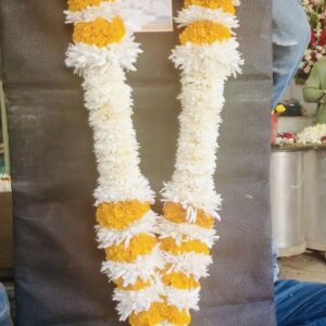 yeelow and white daisy haar