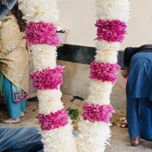 purple and white daisy haar