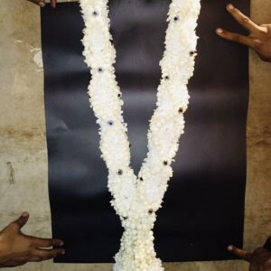 PURE WHITE HAAR WITH MOTIYAN LAYERS