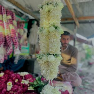 WHITE ROSE & WHITE DAISY HAAR