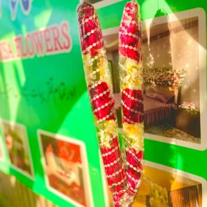 RED AND WHITE NORAMAL HAAR WITH TRANSPARENT WRAPPING SHHET